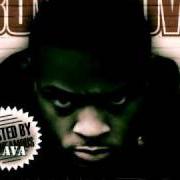 Il testo SWAMP NIGGA FREESTYLE di BOW WOW è presente anche nell'album Half man half dog (2008)