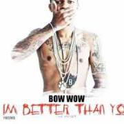 Il testo WHAT MY FUTURE HOLDS di BOW WOW è presente anche nell'album Im better than you (2011)