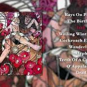 Il testo BLACKPOWDER ORCHARD dei BARONESS è presente anche nell'album Blue record (2009)