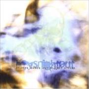 Il testo A TORRID LOVE AFFAIR dei BOYS NIGHT OUT è presente anche nell'album Broken bones and bloody kisses (2002)