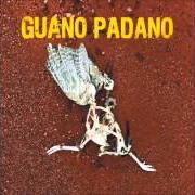 Guano padano