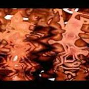 Il testo RICORDATI DI TE! di IVAN CATTANEO è presente anche nell'album Luna presente (2005)