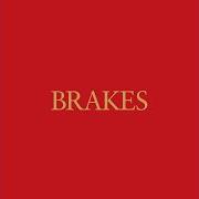 Il testo N.Y. PIE dei BRAKES è presente anche nell'album Give blood (2005)