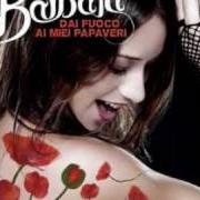 Il testo FOLLE CORSA di BARBARA MONTE è presente anche nell'album Dai fuoco ai miei papaveri (2008)
