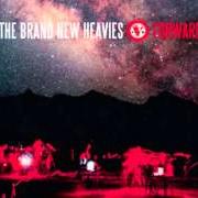 Il testo ADDICTED dei BRAND NEW HEAVIES è presente anche nell'album Forward (2013)