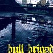 Il testo DOPO LA PIOGGIA di BULL BRIGADE è presente anche nell'album Strade smarrite (2008)