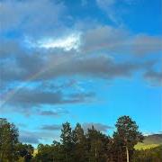 Il testo CRAZY RAINBOW di MIKE POSNER è presente anche nell'album Crazy rainbow (2026)