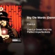 Il testo BAD MUTHA di CEE LO GREEN è presente anche nell'album And his perfect imperfections