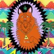 Il testo TAKE ON THE WORLD dei WAVVES è presente anche nell'album King of the beach (2010)