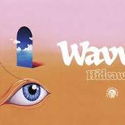 Il testo THE BLAME dei WAVVES è presente anche nell'album Hideaway (2021)