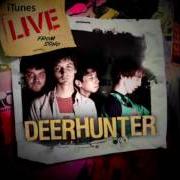 Il testo GAME OF DIAMONDS dei DEERHUNTER è presente anche nell'album Rainwater cassette exchange (2009)