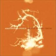 Il testo MAYBE THEN SOMEDAY degli ABANDONED POOLS è presente anche nell'album Armed to the teeth (2005)