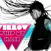 Il testo WHIP MY HAIR di WILLOW SMITH è presente anche nell'album Whip my hair