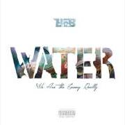 Il testo BEHIND YA BACK / PURPLE MOUNTAIN di B.O.B è presente anche nell'album Water (2015)