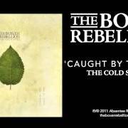 Il testo ORGAN SONG dei THE BOXER REBELLION è presente anche nell'album The cold still (2011)