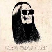 Il testo THE ILLEST di FAR EAST MOVEMENT è presente anche nell'album Grzzly (2013)
