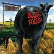 Il testo DAMMIT dei BLINK-182 è presente anche nell'album Dude ranch (1997)