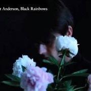 Il testo THIN MEN DANCING di BRETT ANDERSON è presente anche nell'album Black rainbows (2011)