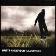 Il testo P. MARIUS di BRETT ANDERSON è presente anche nell'album Wilderness (2008)