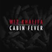 Cabin fever - mixtape