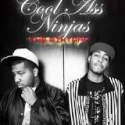 Cool ass ninjas: the mixtape