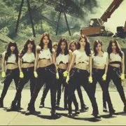 Il testo GENIE di GIRLS' GENERATION è presente anche nell'album The best (2014)