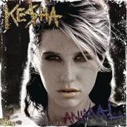 Il testo BOOTS & BOYS di KESHA è presente anche nell'album Animal (2010)