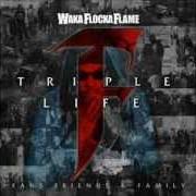 Il testo SMOKE, DRANK di WAKA FLOCKA FLAME è presente anche nell'album Flockaveli (2010)
