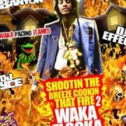Il testo DAMN di WAKA FLOCKA FLAME è presente anche nell'album Shootin' the breeze cookin' that fire (2009)