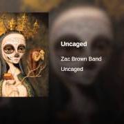 Il testo JUMP RIGHT IN degli ZAC BROWN BAND è presente anche nell'album Uncaged (2012)