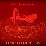 Il testo SHOOFLY PIE degli ZAC BROWN BAND è presente anche nell'album The owl (2019)