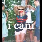 Il testo POST PUNK de I CANI è presente anche nell'album Il sorprendente album d'esordio dei cani (2011)