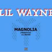 Il testo MAGNOLIA di LIL' WAYNE è presente anche nell'album In tune we trust (2017)