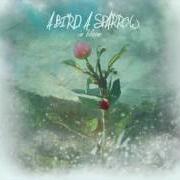 Il testo I'LL BE di A BIRD A SPARROW è presente anche nell'album In bloom (2010)