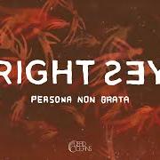 Il testo PERSONA NON GRATA di BRIGHT EYES è presente anche nell'album Persona non grata (2020)