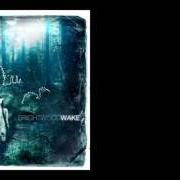 Il testo TAKEN dei BRIGHTWOOD è presente anche nell'album Wake (2008)