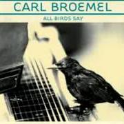 Il testo ALL BIRDS SAY di CARL BROEMEL è presente anche nell'album All birds say (2010)