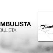 Il testo COSAS QUE NO QUISE DECIRTE di FUNAMBULISTA è presente anche nell'album Funambulista (2010)