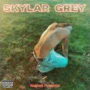 Il testo NIRVANA di SKYLAR GREY è presente anche nell'album Wasted potential (2026)