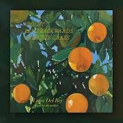 Il testo PARADISE IS VERY FRAGILE di LANA DEL REY è presente anche nell'album Violet bent backwards over the grass (2020)