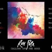 Il testo EMPTY PAGE di RON POPE è presente anche nell'album Calling off the dogs (2014)