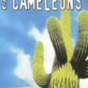Il testo INSTRUMENTAL di LES CAMÉLÉONS è presente anche nell'album Chaleur (1999)