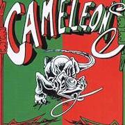 Il testo CIUDAD DE ORO di LES CAMÉLÉONS è presente anche nell'album Viva la fiesta (1995)
