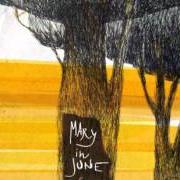 Il testo NEL BUIO di MARY IN JUNE è presente anche nell'album Ferirsi (2011)