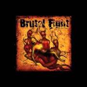 Il testo REVOLUTIONS dei BRUTAL FIGHT è presente anche nell'album Our merciful father (2005)