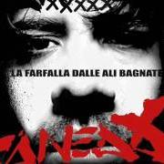 Il testo NON VOLO PIÙ di CANEDA è presente anche nell'album La farfalla dalle ali bagnate (2009)