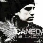 Il testo PISTOLE AD ACQUA di CANEDA è presente anche nell'album L'angelo da un'ala sola (2006)