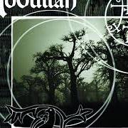 Il testo THE WHIMPER OF WHIPPED DOGS degli ABDULLAH è presente anche nell'album Graveyard poetry (2002)