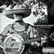 Il testo SWEET PERFECTION di NEVER SHOUT NEVER è presente anche nell'album Harmony (2010)