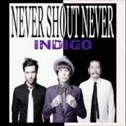 Il testo SORRY di NEVER SHOUT NEVER è presente anche nell'album Indigo (2013)